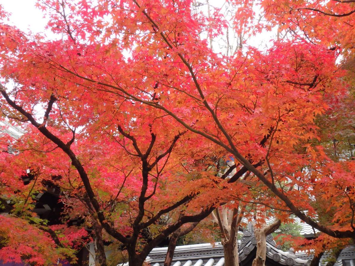 京の宿西大路 京都市 エクステリア 写真