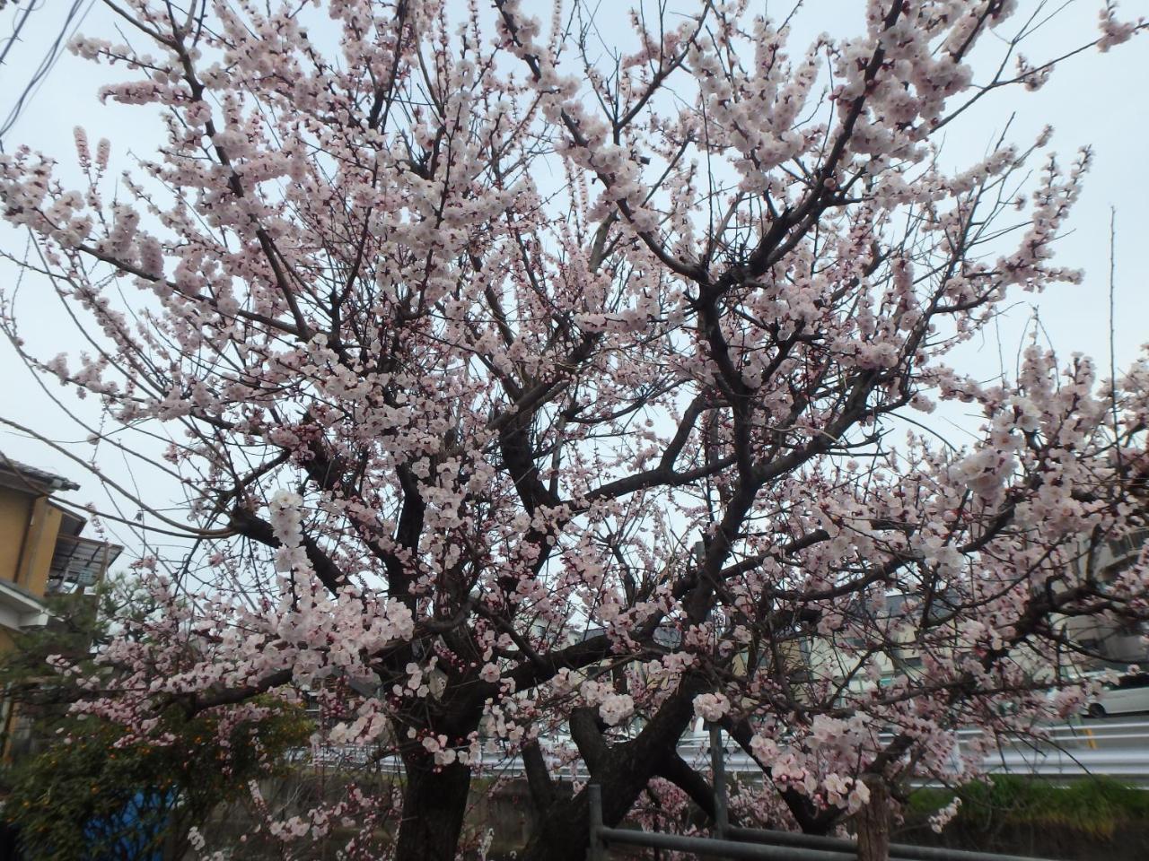 京の宿西大路 京都市 エクステリア 写真