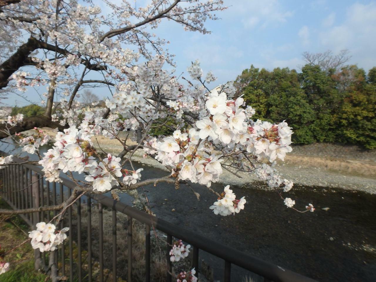 京の宿西大路 京都市 エクステリア 写真