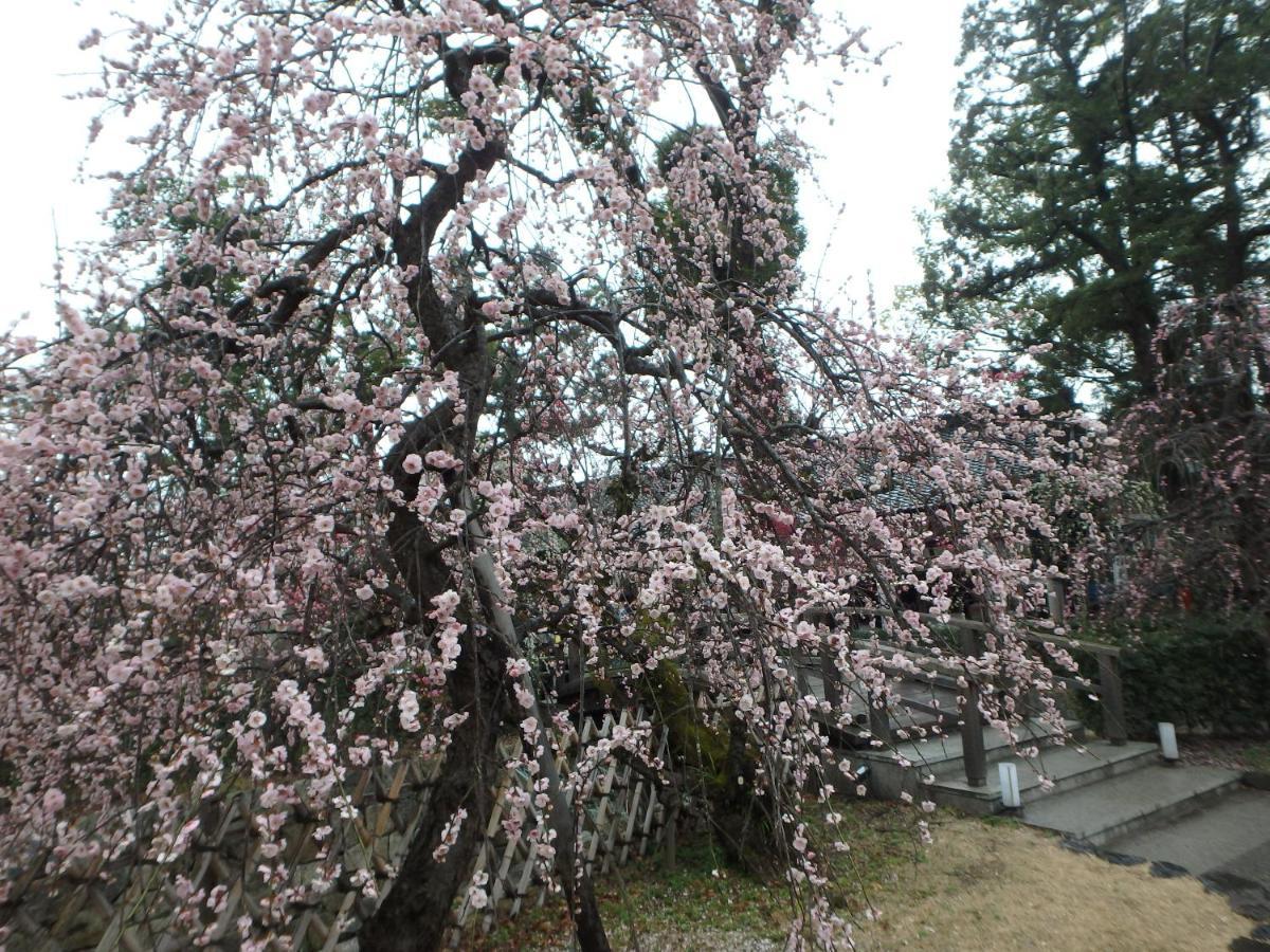 京の宿西大路 京都市 エクステリア 写真